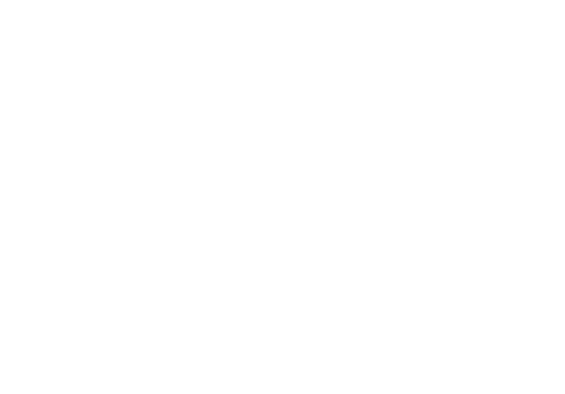 SKLN_logo